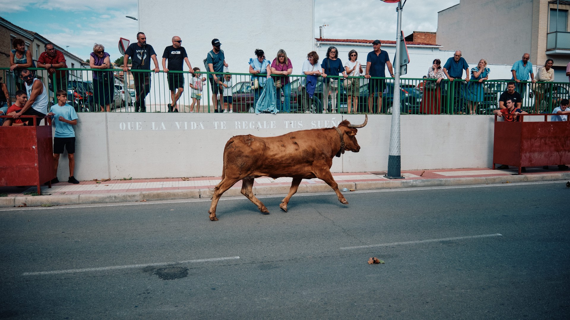 Un toro cruza la calle bajo la mirada del público apostado tras las barreras.