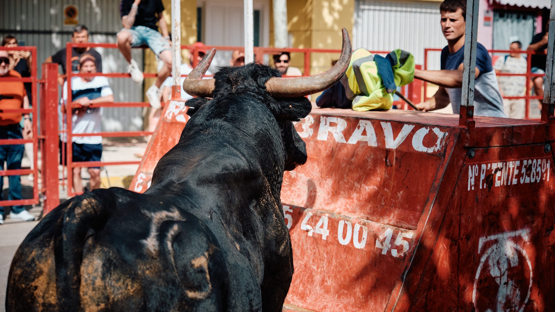 Un toro negro, visto de espaldas, frente a las barreras y el público.