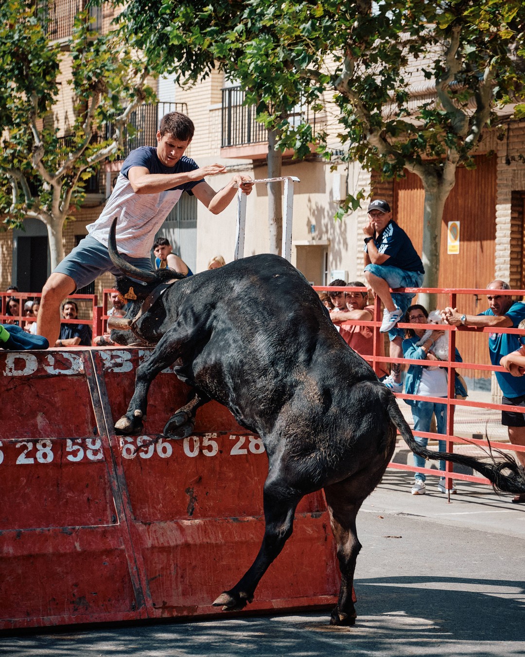 Un toro junto a una protección roja y verde, bajo la mirada del público.