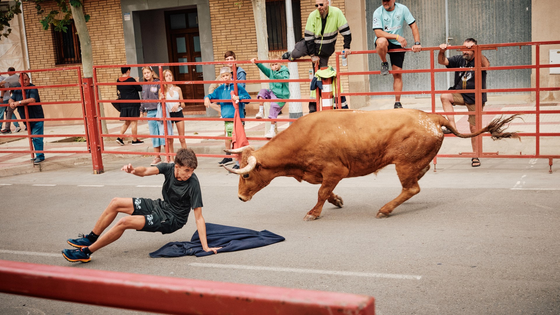 Un participante en el suelo frente a un toro castaño en la calle.