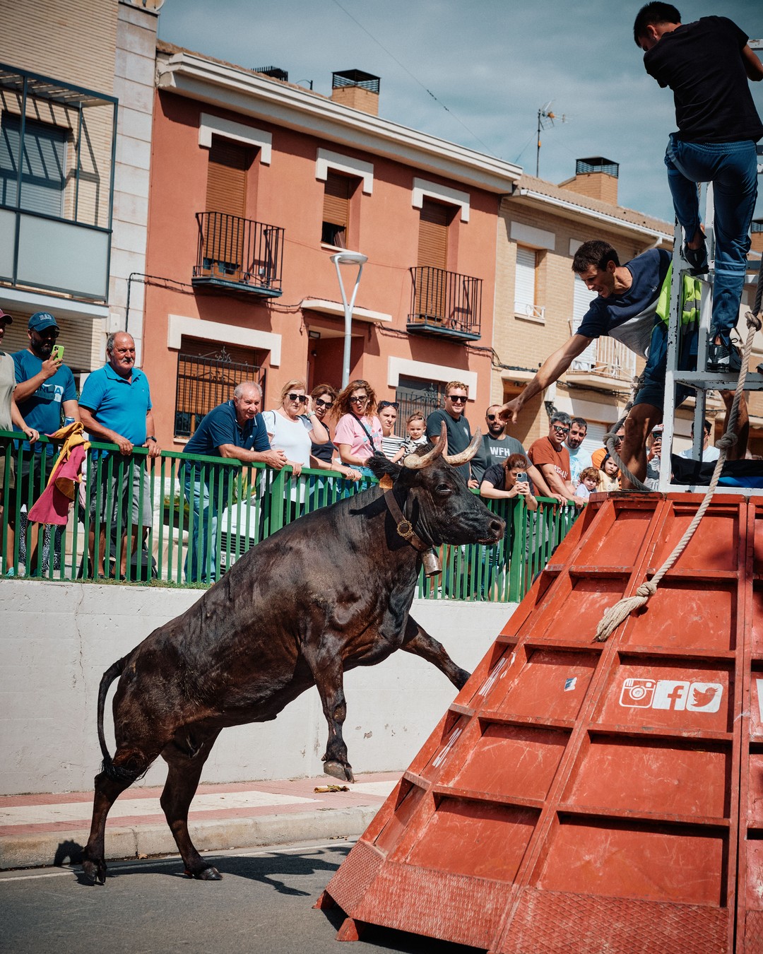 Un toro salta junto a una estructura de protección.