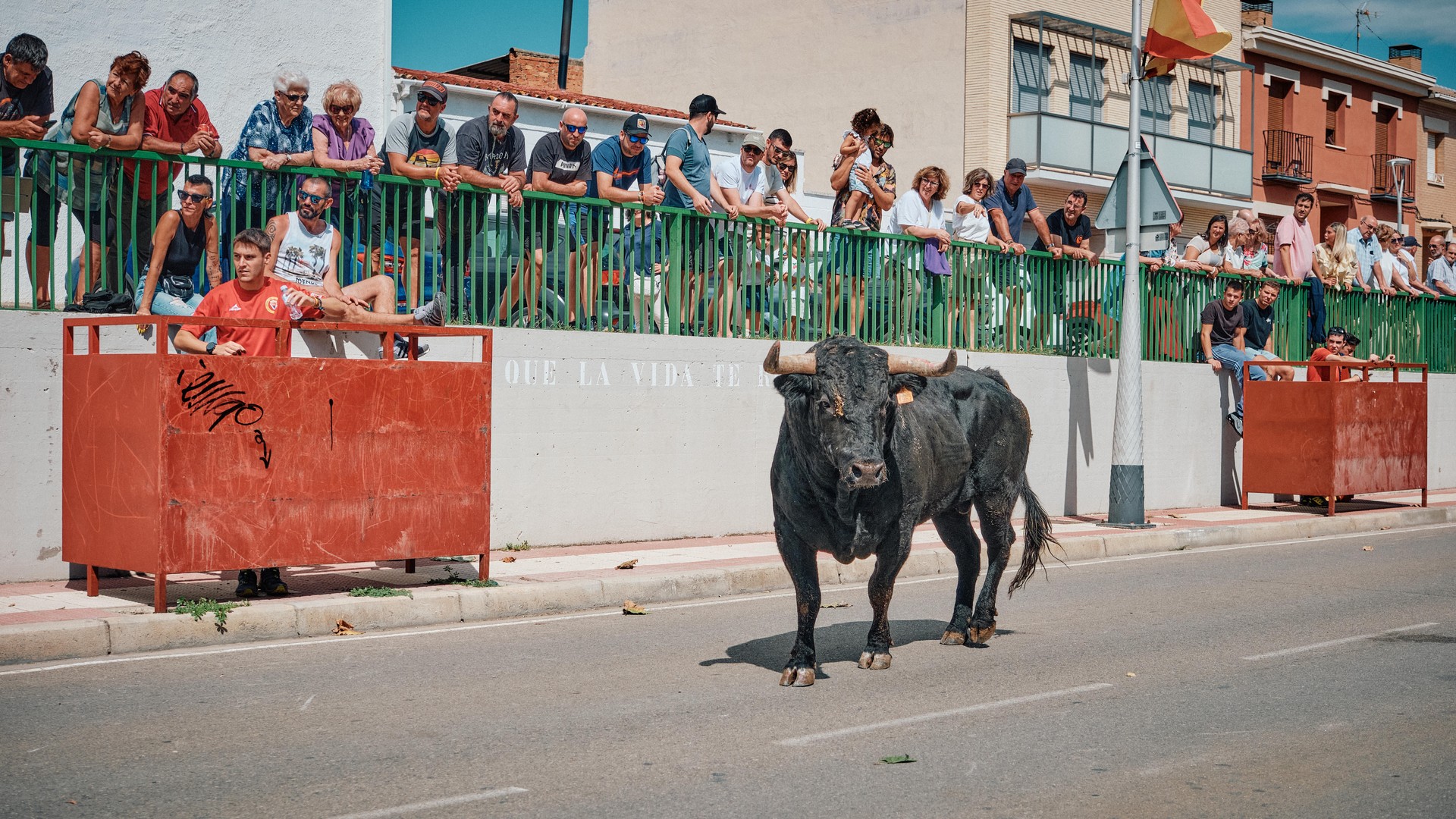 A black bull moves in front of spectators gathered behind the barriers.