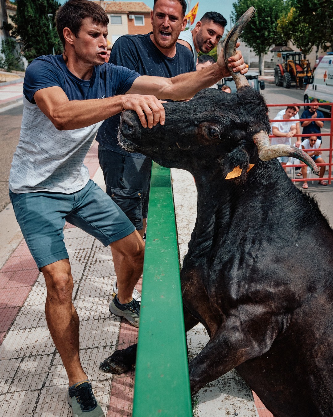 Dos participantes se protegen detrás de una barrera verde, cerca de un toro.