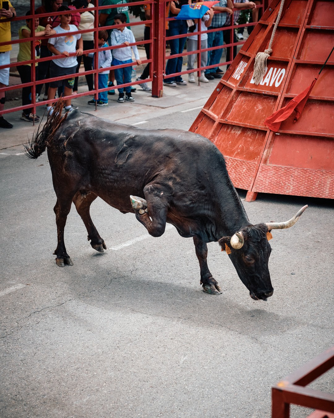 Un toro negro baja la cabeza cerca de una estructura roja.